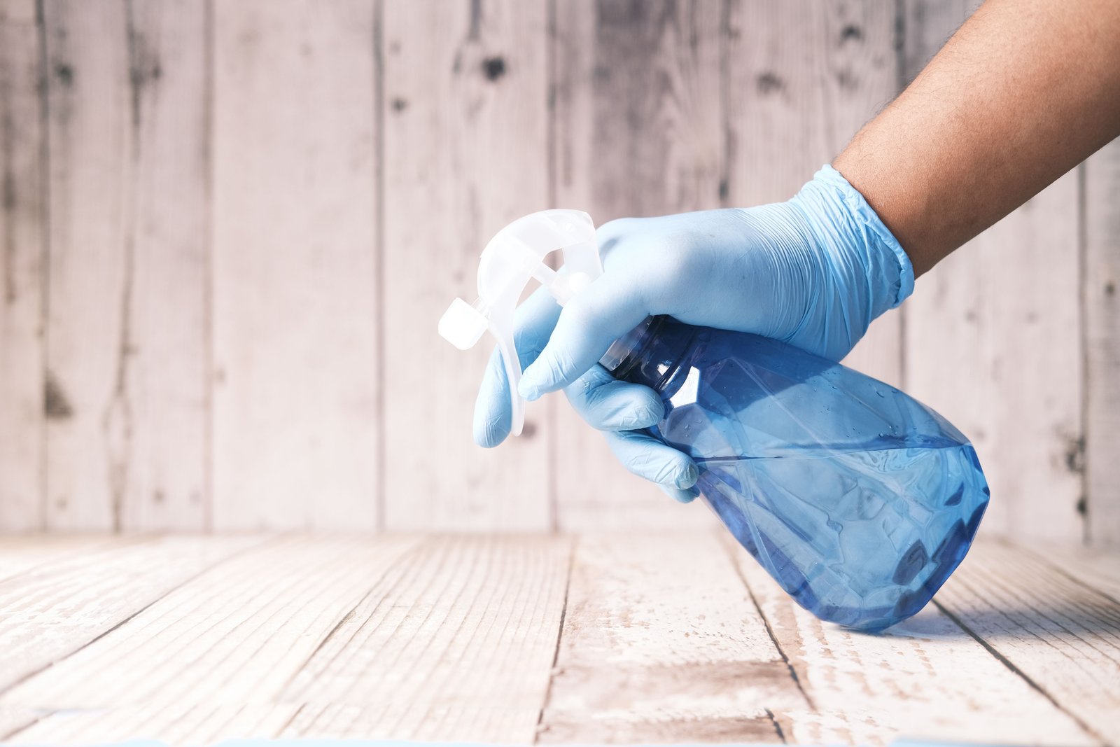 House Cleaner